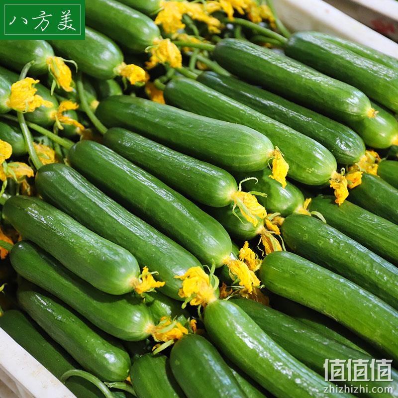 八方美 寿光新鲜水果小黄瓜 5斤 16.8元包邮（需领券） 值值值-买手聚集的地方