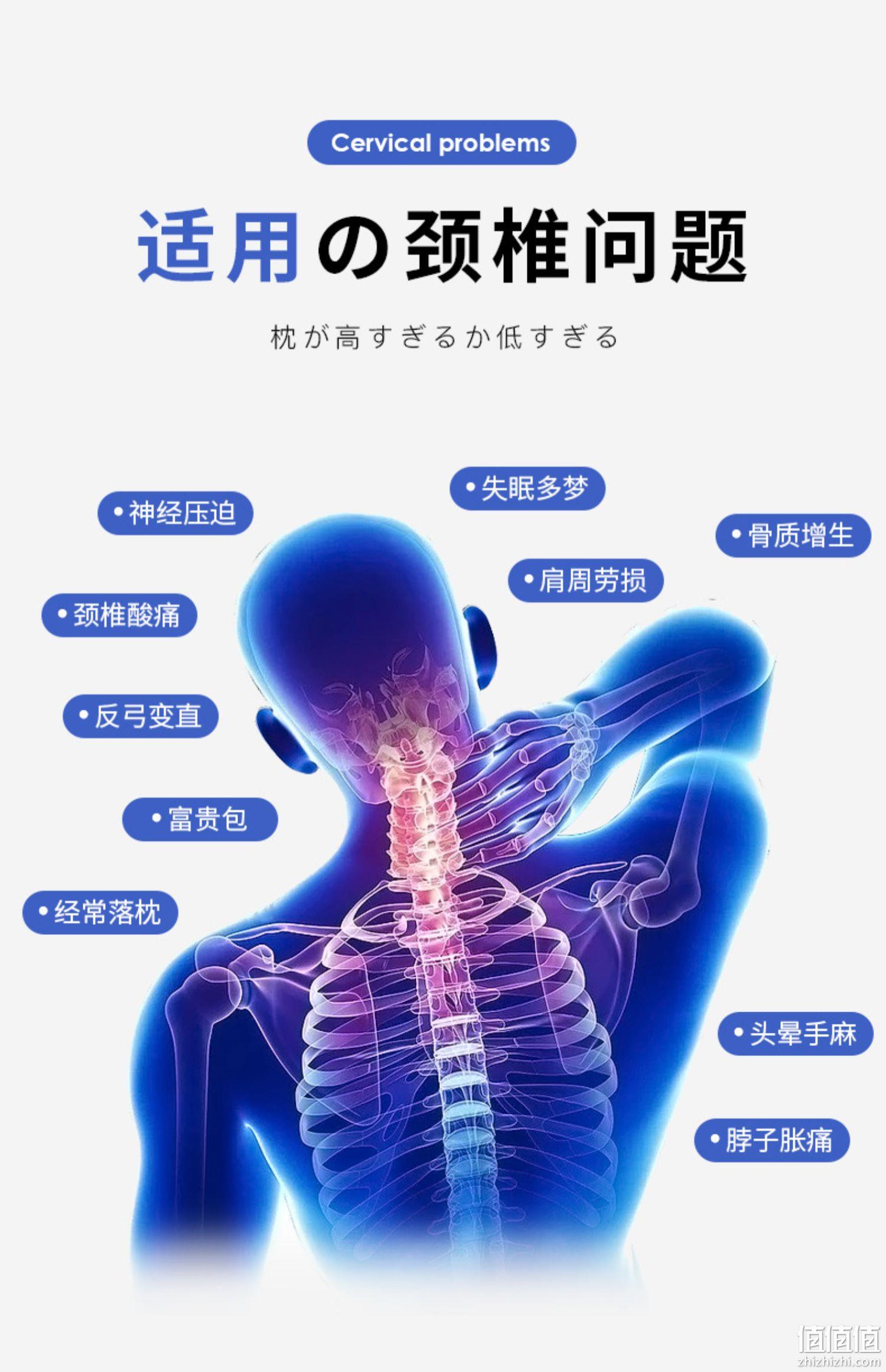 紫罗兰 人体工程学反弓牵引分区舒颈枕头 单只 39元包邮（需领券） 值值值-买手聚集的地方