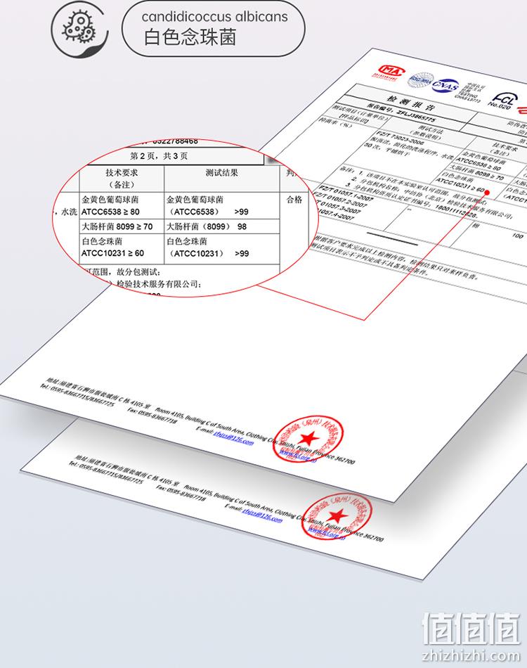 芬腾 女式40S莫代尔花边抑菌棉档无感内裤 3条 39元包邮（需领券） 值值值-买手聚集的地方