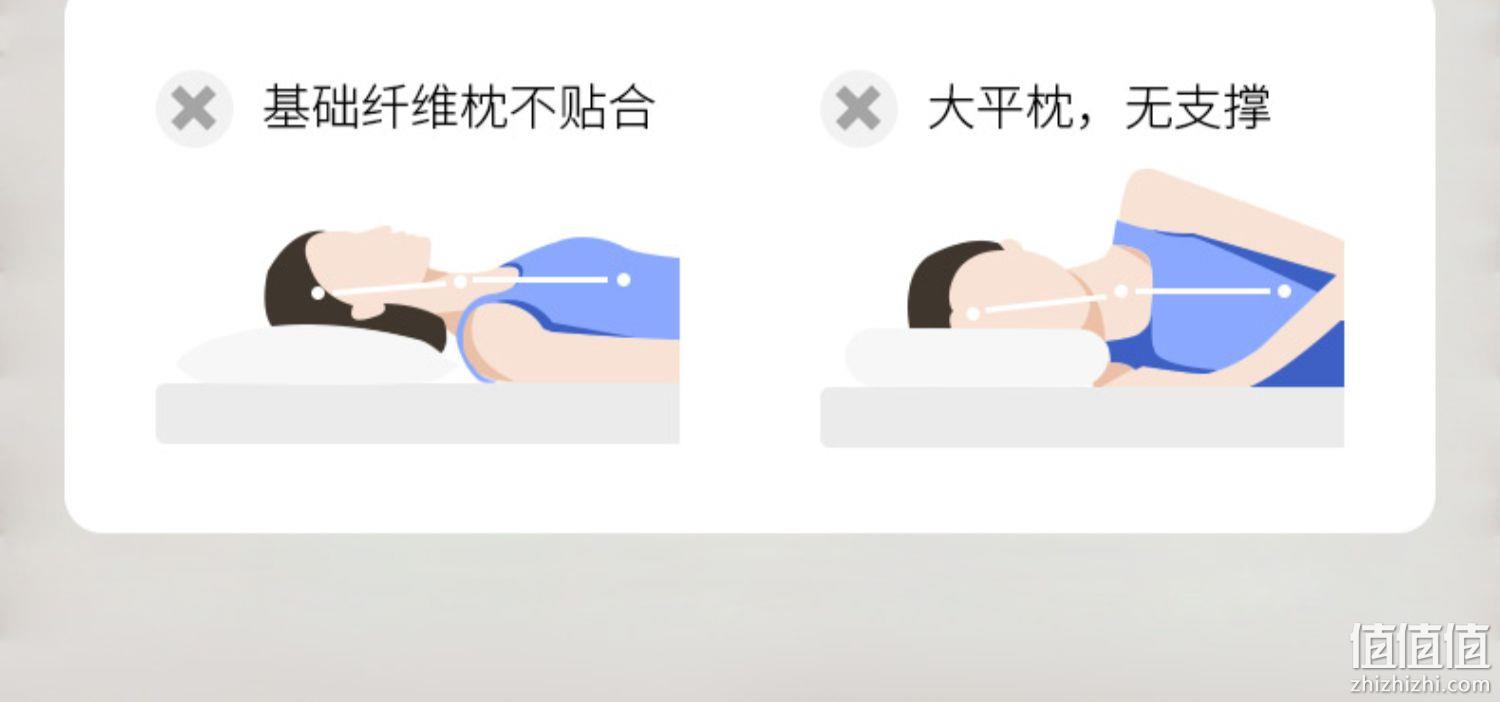 紫罗兰 人体工程学反弓牵引分区舒颈枕头 单只 39元包邮（需领券） 值值值-买手聚集的地方