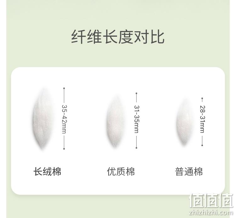 SCHIESSER 舒雅 E0/19974T 女士中腰舒美棉纯棉内裤 2条装 69元包邮（需领券） 值值值-买手聚集的地方