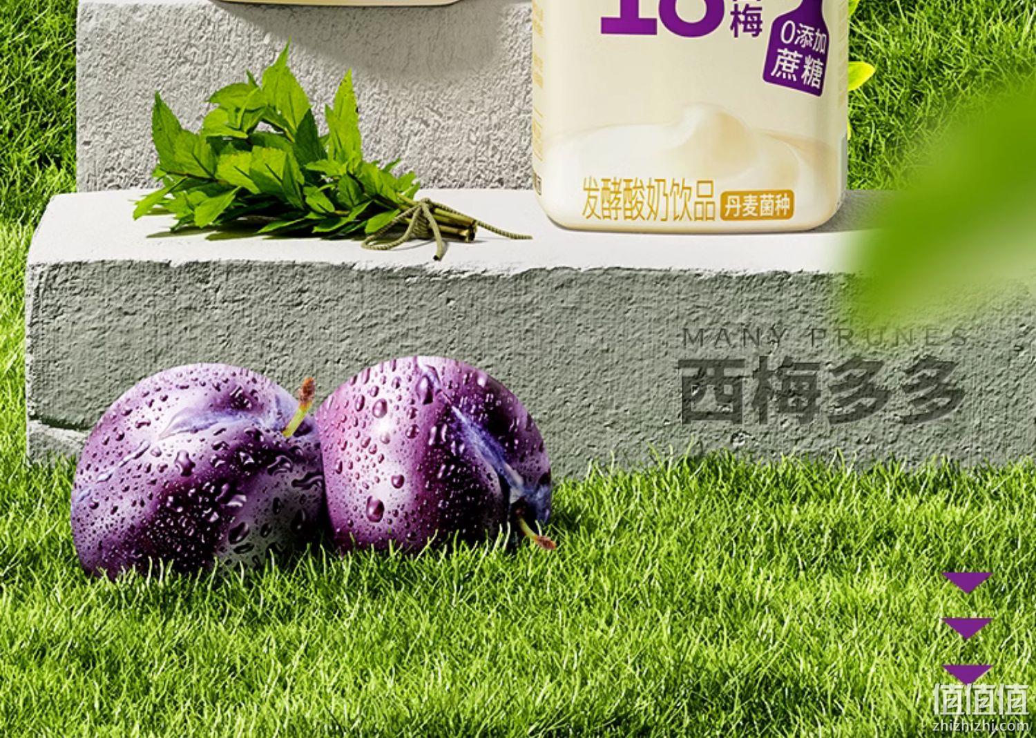 椰泰集团，轻上 口口西梅酸奶 220ml*10瓶 39.9元包邮（需领券） 值值值-买手聚集的地方