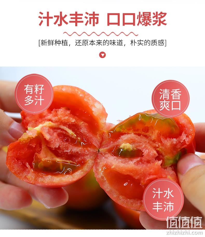 绿行者 新鲜草莓番茄 4斤 19.9元包邮(需领券) 值值值-买手聚集的地方