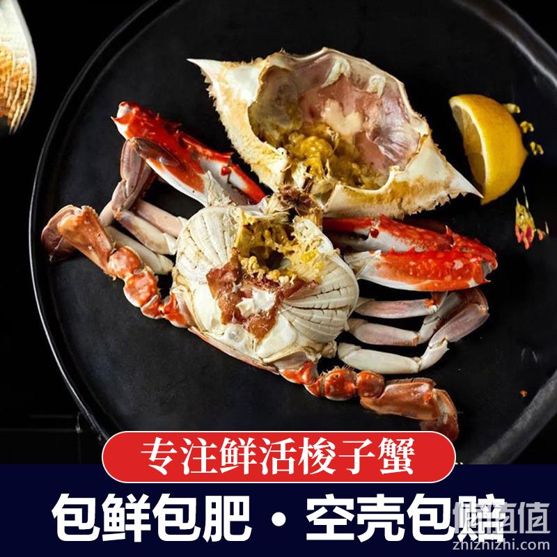鲜仁源  新鲜海捕梭子蟹 3斤 多规格 89元起顺丰包邮（限地区） 值值值-买手聚集的地方