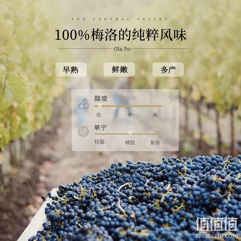 智利原瓶进口，露颂 中央山谷产区 欧乐坡梅洛干红葡萄酒750ml*6支整箱 新低368元包邮（61.33元/瓶） 值值值-买手聚集的地方