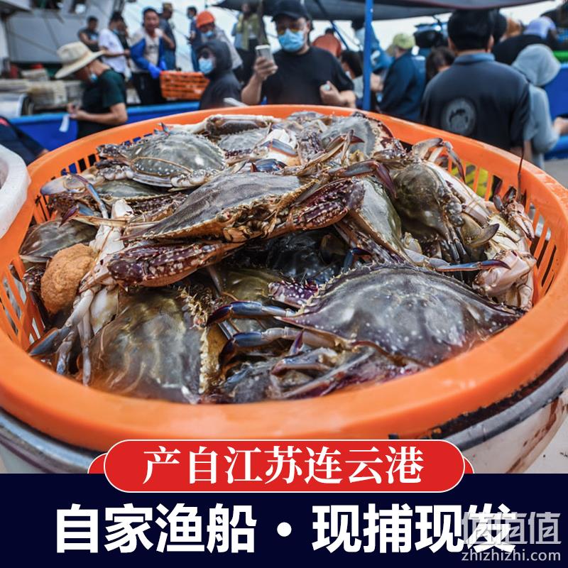鲜仁源  新鲜海捕梭子蟹 3斤 多规格 89元起顺丰包邮（限地区） 值值值-买手聚集的地方