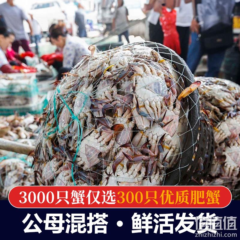 鲜仁源  新鲜海捕梭子蟹 3斤 多规格 89元起顺丰包邮（限地区） 值值值-买手聚集的地方