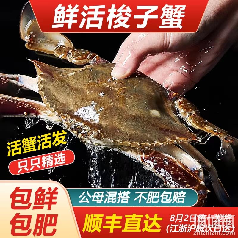 鲜仁源  新鲜海捕梭子蟹 3斤 多规格 89元起顺丰包邮（限地区） 值值值-买手聚集的地方