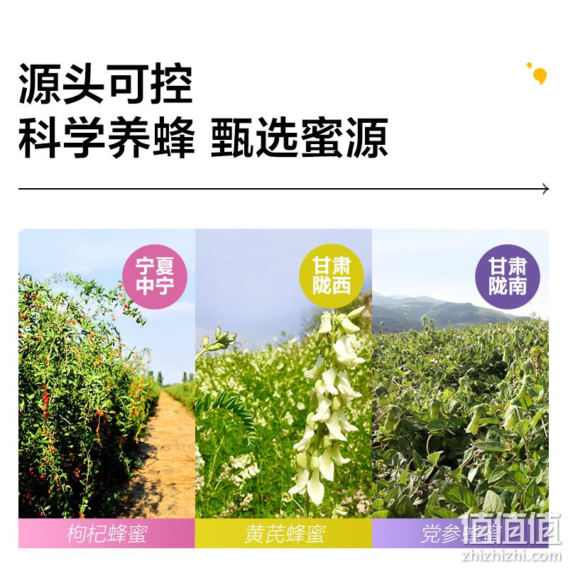 九蜂堂 党参/枸杞/黄芪蜂蜜 350g 28元包邮（需领券） 值值值-买手聚集的地方