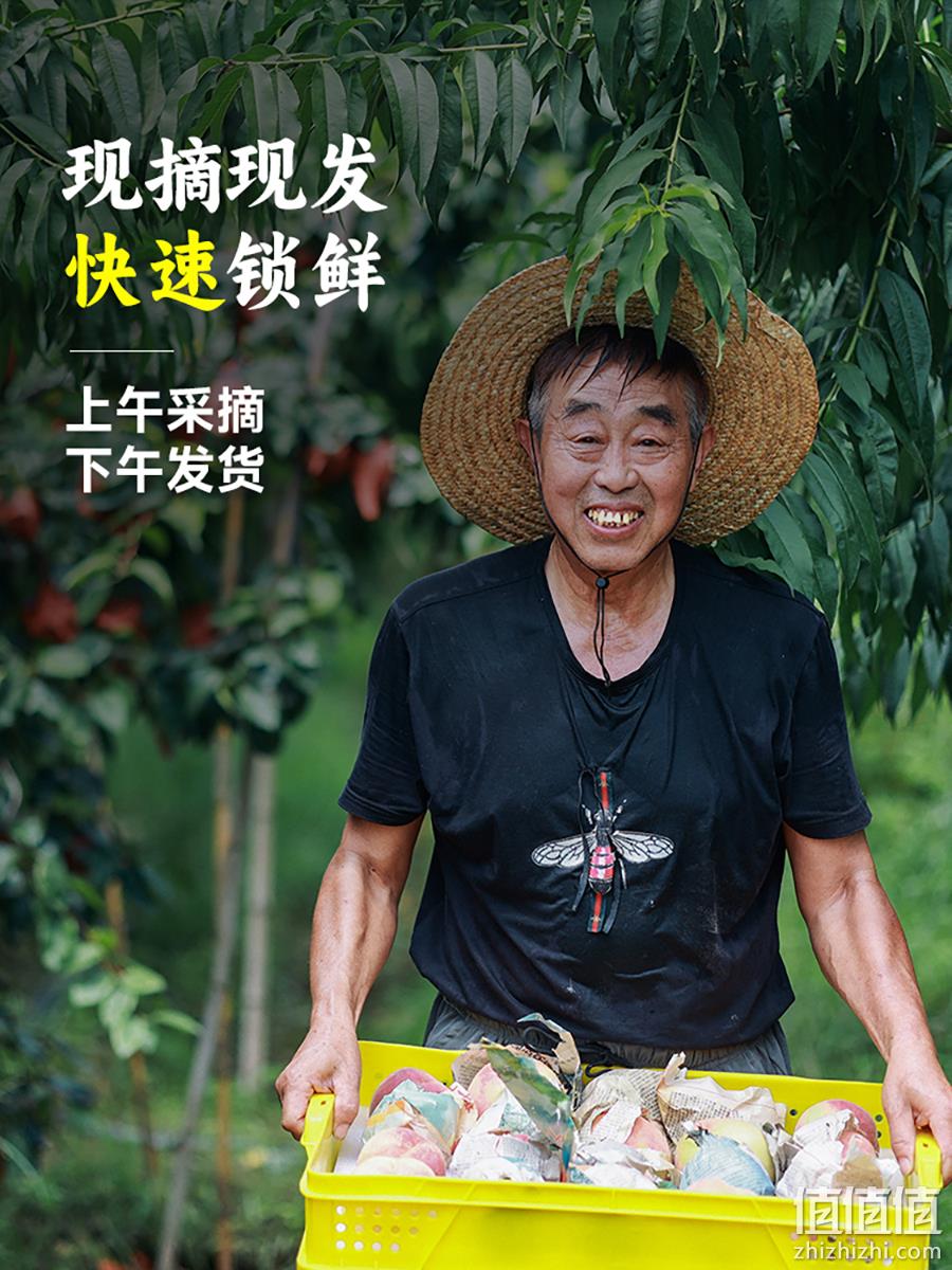 官方授权店铺，创露 正宗无锡阳山水蜜桃 8枚 58元包邮（需领券） 值值值-买手聚集的地方