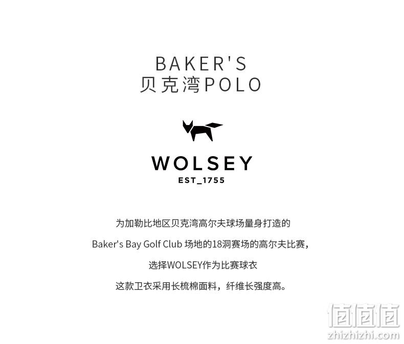 英国皇室266年品牌,Wolsey 男士60S长绒棉高尔夫长袖立领/翻领Polo衫 多色 139元包邮(需领券) 值值值-买手聚集的地方