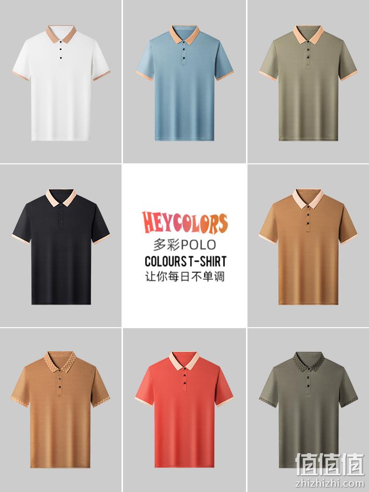 清仓特价！罗蒙 男士舒适百搭休闲短袖T恤/Polo衫 多款 新低19.9元包邮 值值值-买手聚集的地方