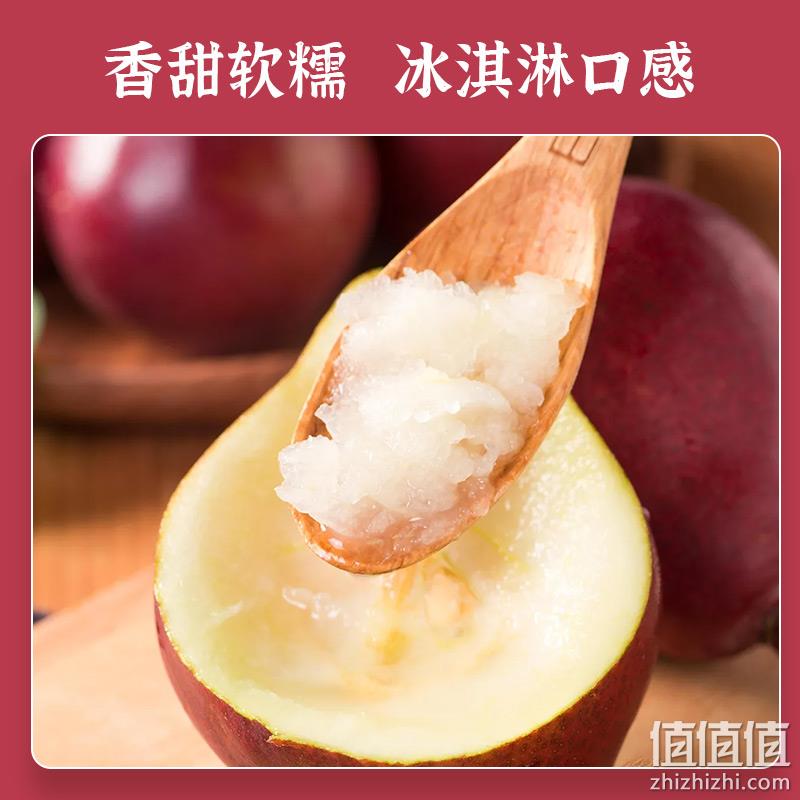 猗浩鲜果园 红啤梨中大果 5斤 24.9元包邮（需领券） 值值值-买手聚集的地方