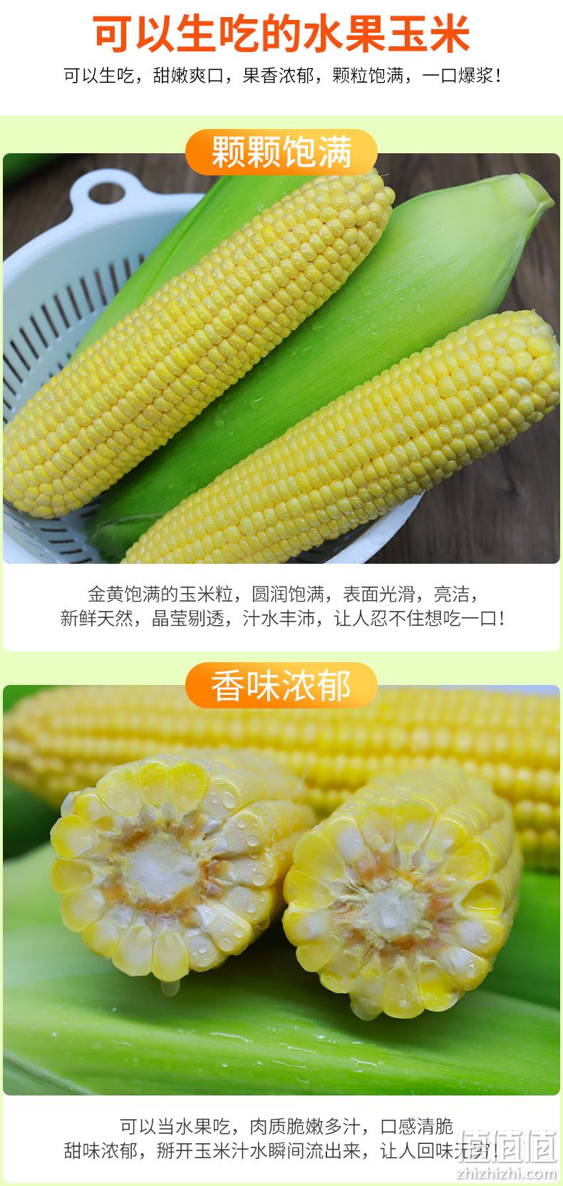 北京奥运会食材供应商，绿绿行者 现摘带皮新鲜水果玉米 5斤 19.9元包邮（需领券） 值值值-买手聚集的地方