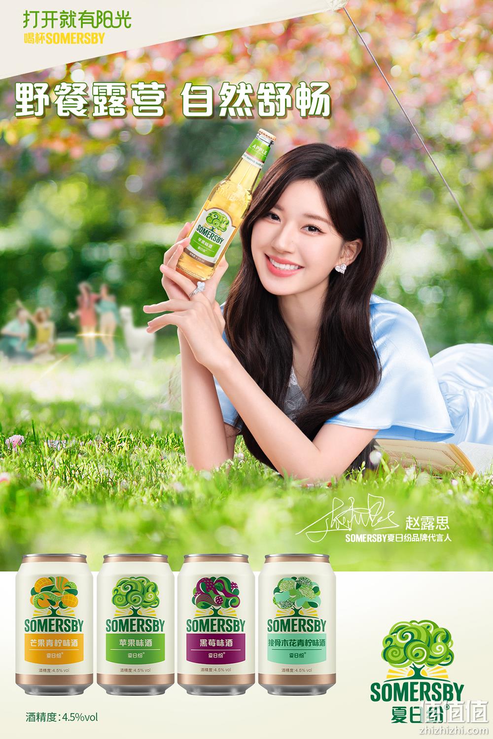 Carlsberg 嘉士伯 Somersby 夏日纷 混合口味果酒330ml*14罐 79元包邮（需领券） 值值值-买手聚集的地方