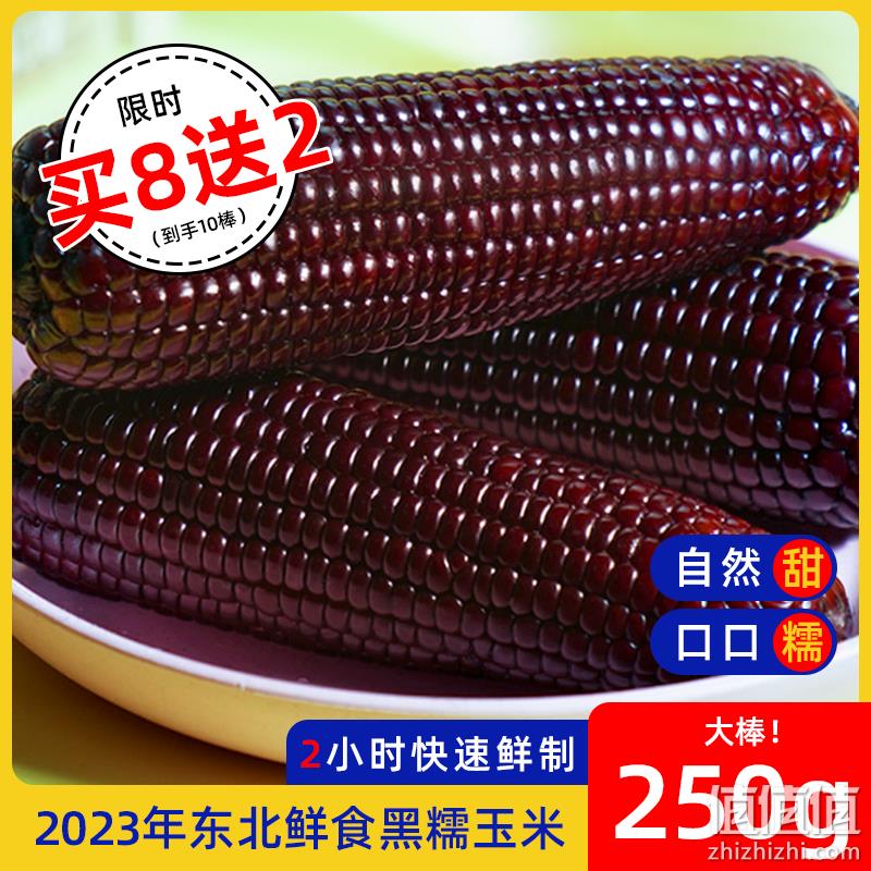 园侬鲜  2023头茬东北黑糯玉米 250g*10棒 29.9元包邮（需领券） 值值值-买手聚集的地方