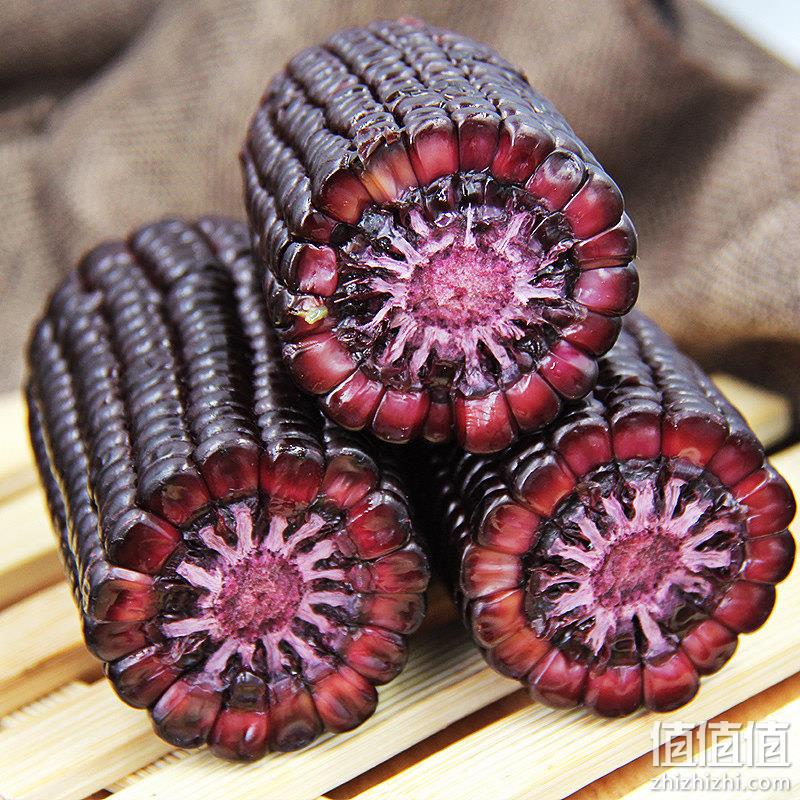 园侬鲜  2023头茬东北黑糯玉米 250g*10棒 29.9元包邮（需领券） 值值值-买手聚集的地方