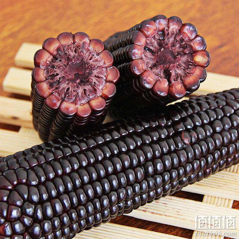 园侬鲜  2023头茬东北黑糯玉米 250g*10棒 29.9元包邮（需领券） 值值值-买手聚集的地方