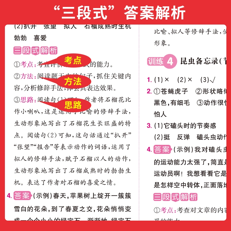 一本 2023版小学语文同步阅读 1~6年级任选 9.8元包邮（需领券） 值值值-买手聚集的地方
