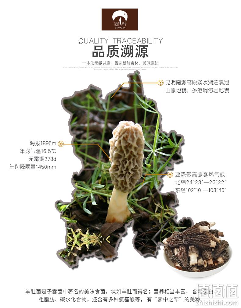 菌益 特级羊肚菌干罐装 30g 史低29.8元包邮（需领券） 值值值-买手聚集的地方