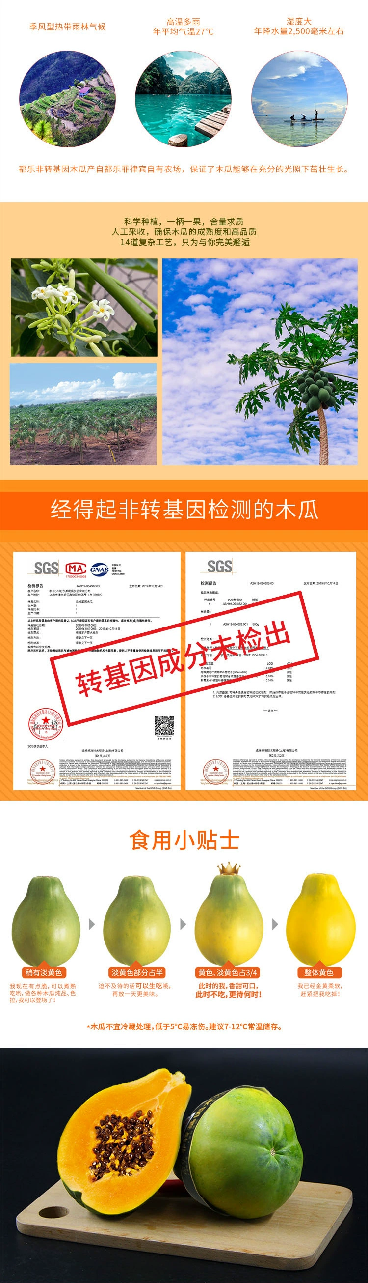 菲律宾进口，Dole 都乐 非转基因木瓜4只装 单只约350g 29.9元包邮（需领券） 值值值-买手聚集的地方
