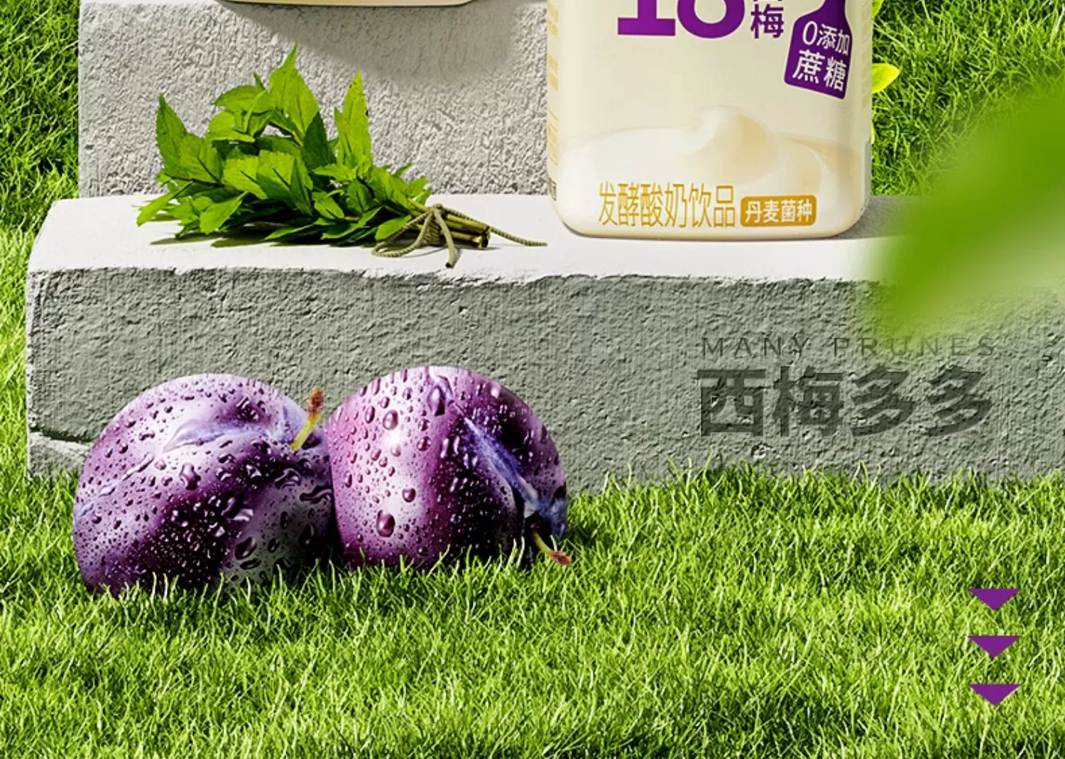 椰泰集团，轻上 口口西梅酸奶 220ml*10瓶 39.9元包邮（需领券） 值值值-买手聚集的地方