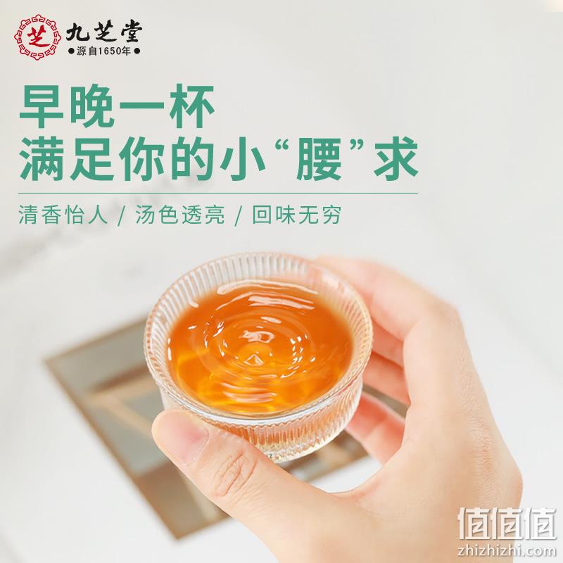 中华老字号，九芝堂 调理湿气冬瓜荷叶柠檬茶 50g*30包 9.9元包邮（需领券） 值值值-买手聚集的地方