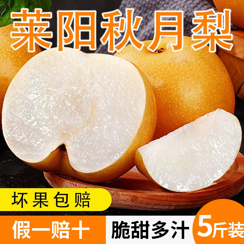 梨想棠 山东莱阳秋月梨大果 5斤（7~8颗） 22.8元包邮（需领券） 值值值-买手聚集的地方