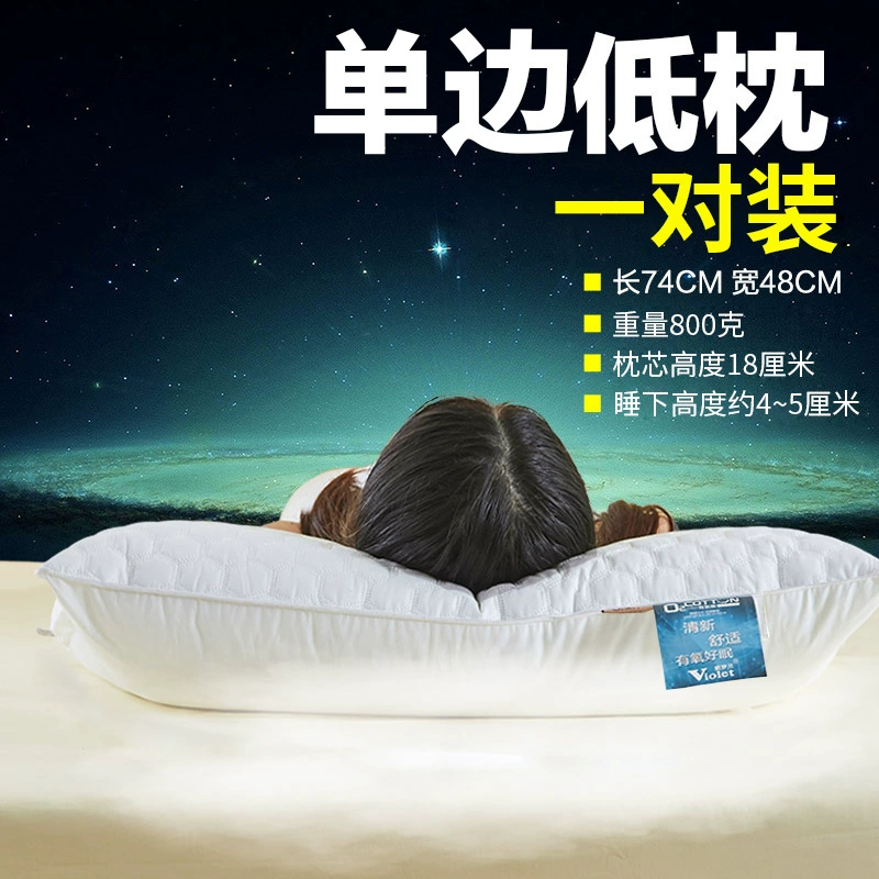 紫罗兰 防螨抗菌 全棉羽丝绒枕头*2个 49元包邮（需领券） 值值值-买手聚集的地方