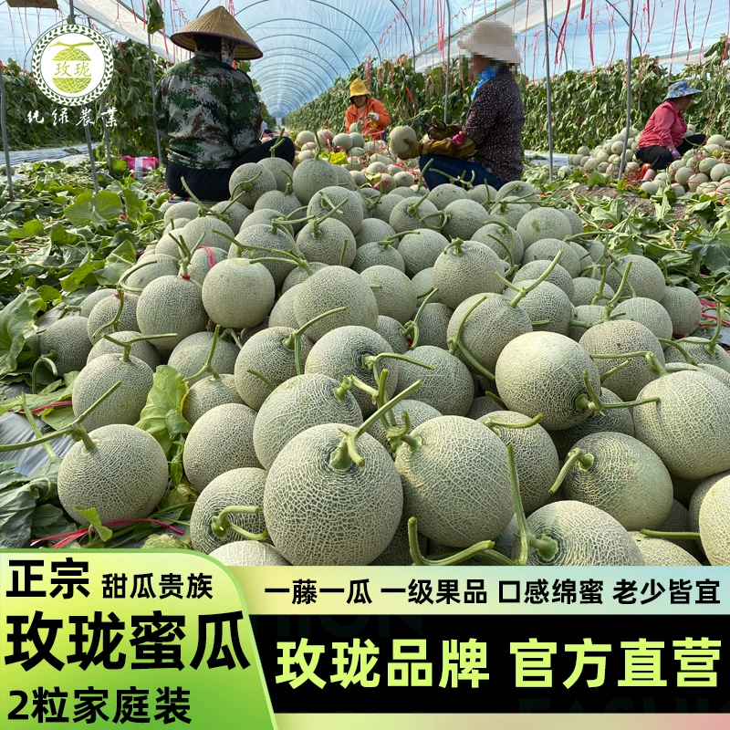 玫珑直营 正宗玫珑蜜瓜 2颗 4～4.5斤 39.9元包邮（需领券） 值值值-买手聚集的地方