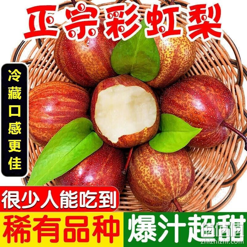 觅鲜达 彩虹梨新鲜采摘5斤整箱装 19.9元包邮（需领券） 值值值-买手聚集的地方