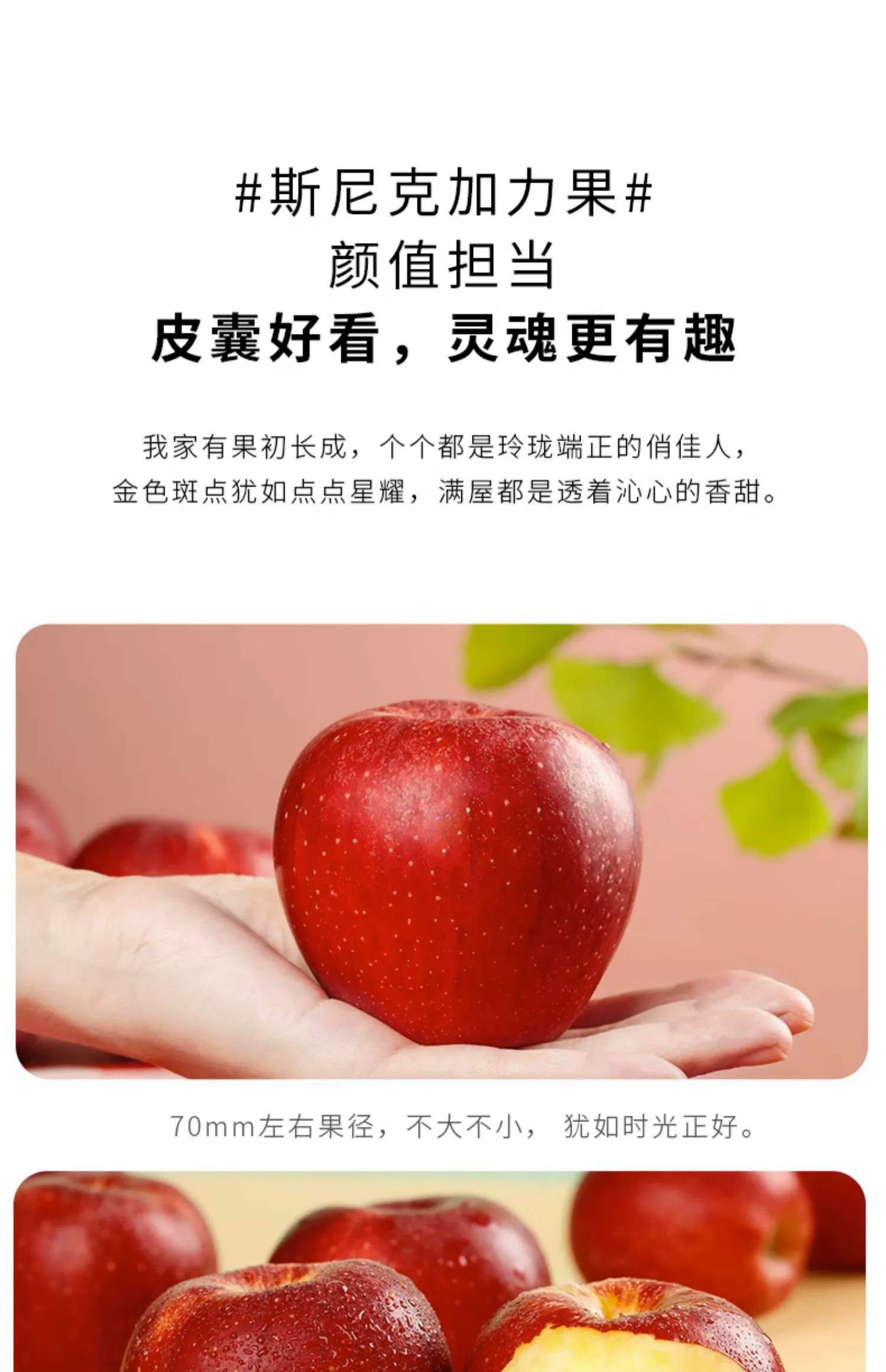 探疆奇遇 斯尼克嘎啦苹果（果径75-80mm） 5斤装 32.8元包邮（需用券） 值值值-买手聚集的地方