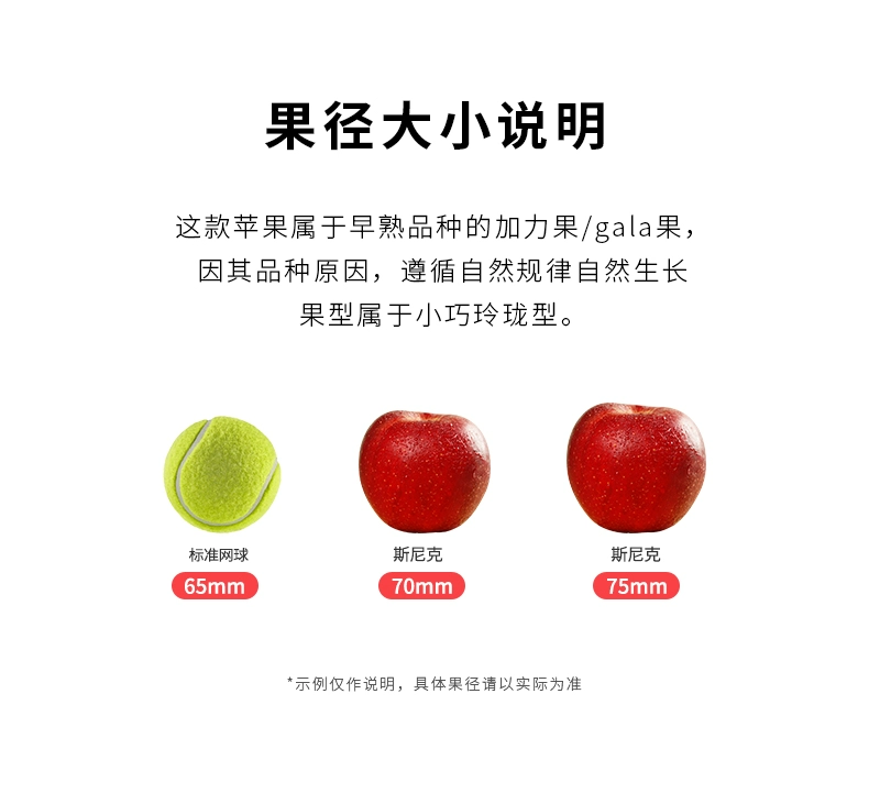 探疆奇遇 斯尼克嘎啦苹果（果径75-80mm） 5斤装 32.8元包邮（需用券） 值值值-买手聚集的地方