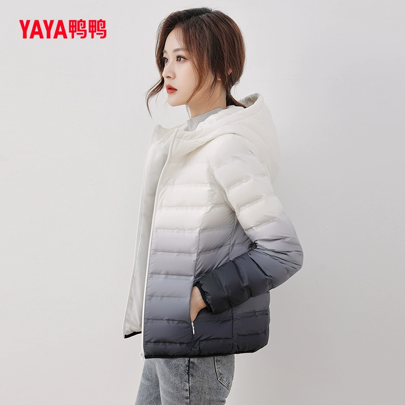 鸭鸭 流行渐变色女款轻暖羽绒服 多色 109元包邮（双重优惠） 值值值-买手聚集的地方