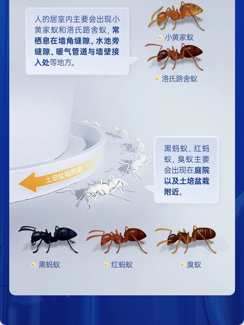 灭蚁神器，Bayer 拜耳 拜灭易 灭蚁胶饵 5g 19.9元包邮（需领券） 值值值-买手聚集的地方