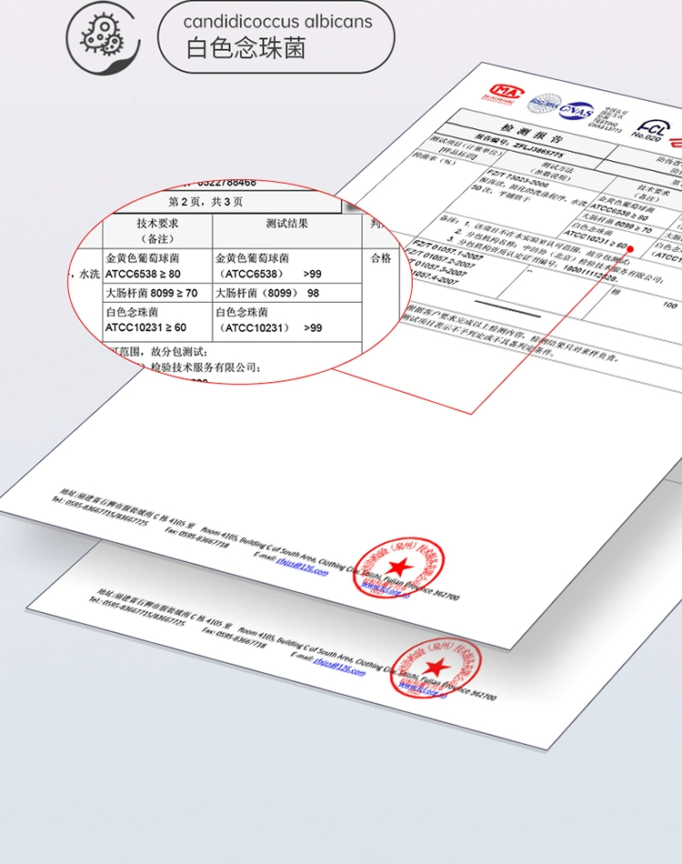 芬腾 女式40S莫代尔花边抑菌棉档无感内裤 3条 39元包邮（需领券） 值值值-买手聚集的地方