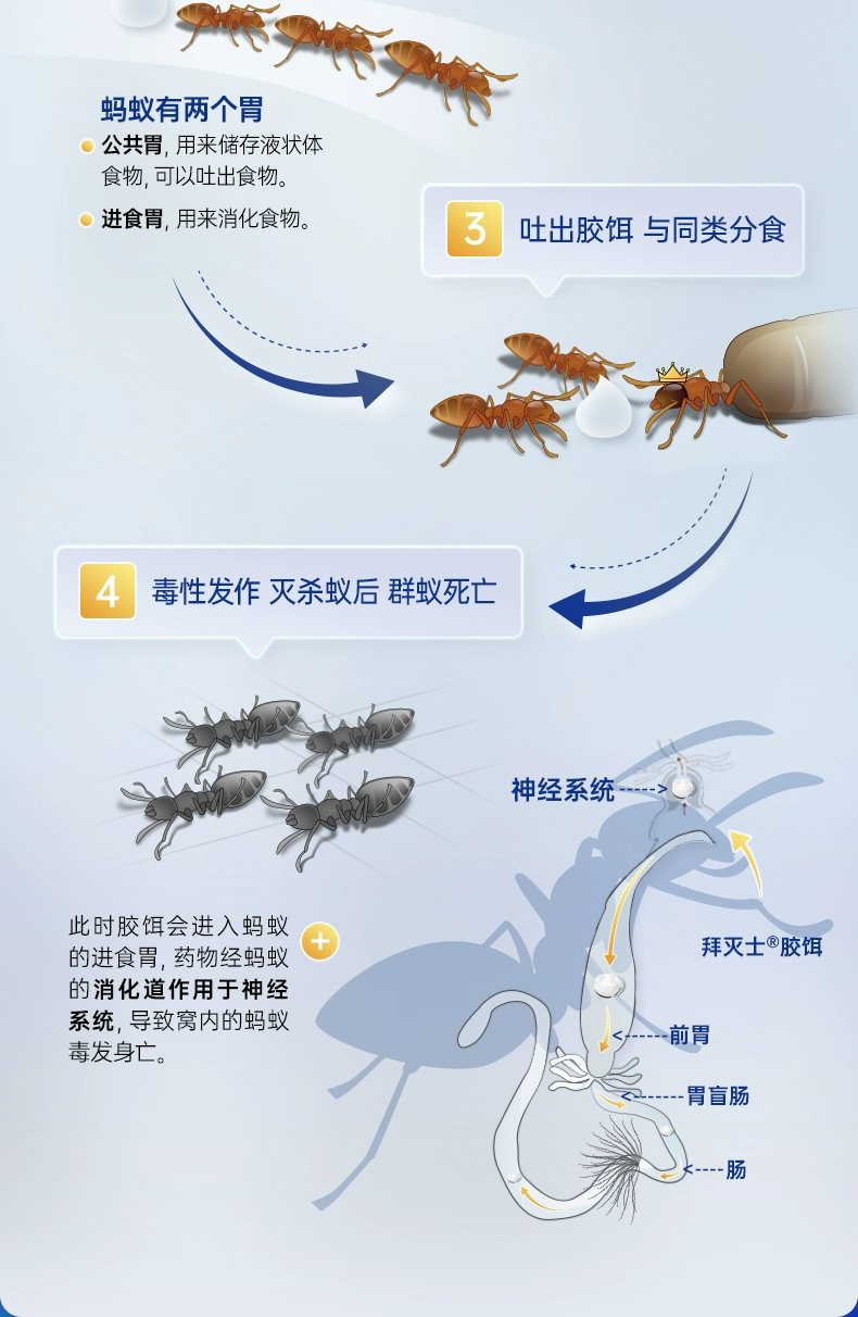 灭蚁神器，Bayer 拜耳 拜灭易 灭蚁胶饵 5g 19.9元包邮（需领券） 值值值-买手聚集的地方