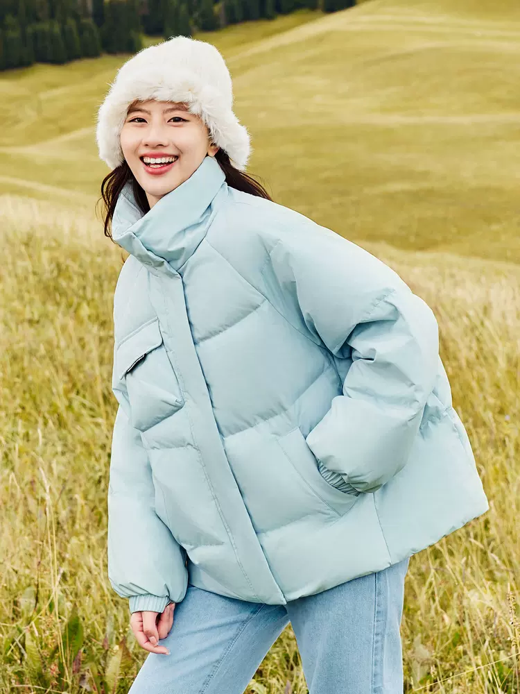 Snow Flying 雪中飞 2023秋冬新款 女士廓形宽松立领短款羽绒服 多色 199元包邮（需领券） 值值值-买手聚集的地方