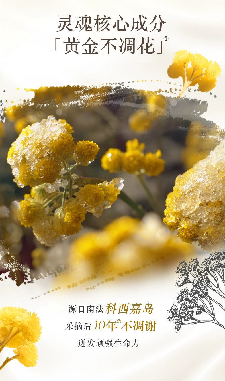 L'Occitane 欧舒丹 蜡菊赋颜御龄系列精华霜50mL 418.95元 值值值-买手聚集的地方