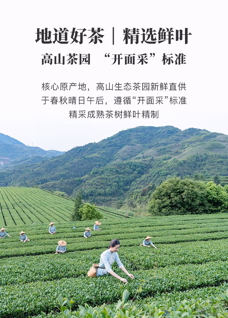 八马茶业&中国国家地理联名款 特级清香型安溪铁观音茶叶礼盒392g*2件 新低248元包邮（124元/件） 值值值-买手聚集的地方