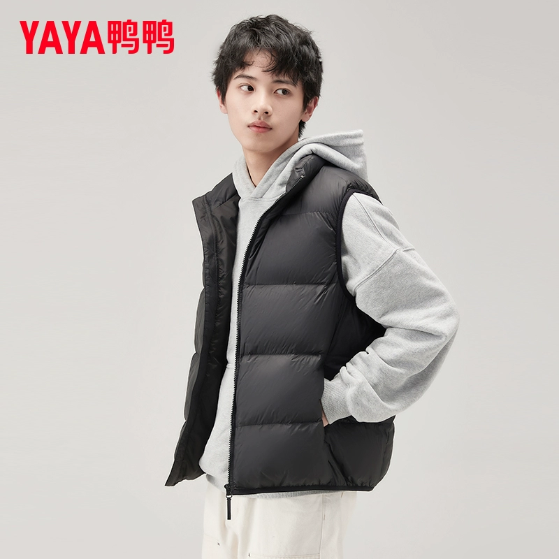 鸭鸭 2023秋冬新款 男士时尚休闲立领羽绒马甲 4色 109元包邮（需领券） 值值值-买手聚集的地方