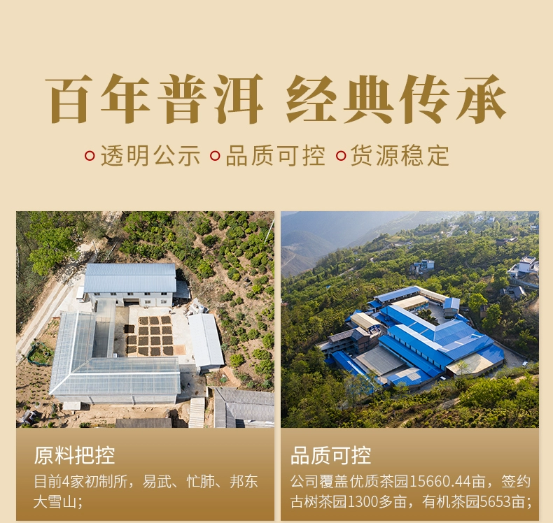德丰昌 2022年云南七子饼醇香普洱熟茶 100g 9.9元包邮（需领券） 值值值-买手聚集的地方