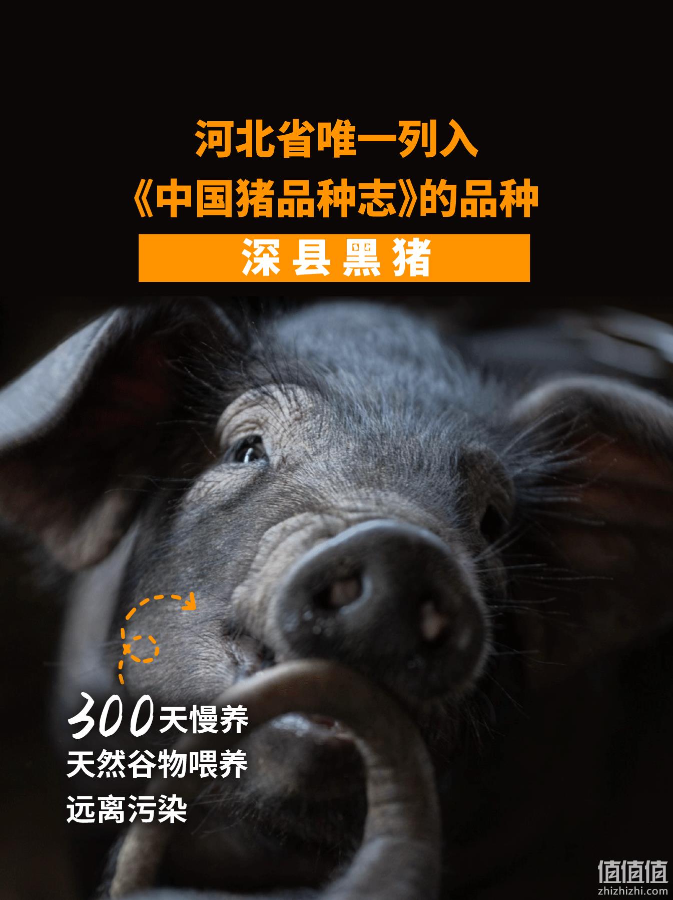 味满分 黑猪猪油300g*2件 赠冰粉粉50g 39.8元包邮（折19.9元/罐） 值值值-买手聚集的地方