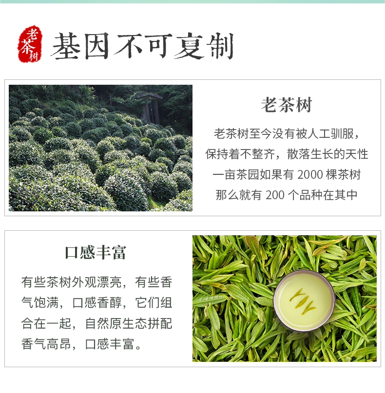 正宗原产地，梅府茗家 2023新茶豆香雨前二级醇香龙井茶 250g 68元包邮 值值值-买手聚集的地方