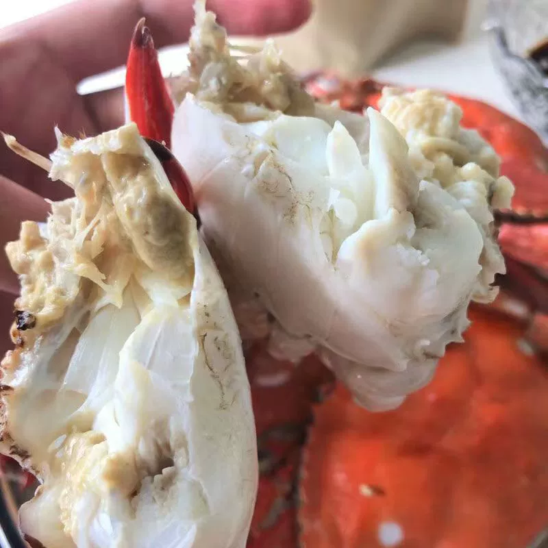 新低！老农欢 鲜活梭子蟹 液氮锁鲜 3斤装 59元包邮 值值值-买手聚集的地方
