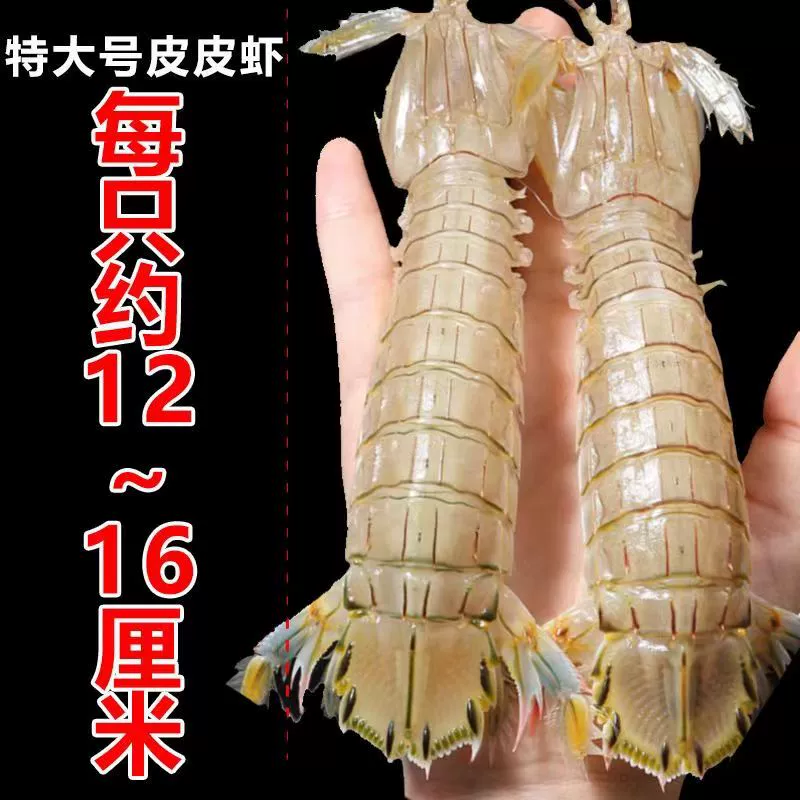 老农欢 特大号皮皮虾 3斤（单只约12~16cm）　 59元包邮（需领券） 值值值-买手聚集的地方