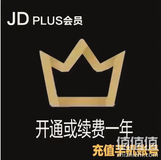 京东 PLUS会员 年卡12个月新开/续费 62.8元 值值值-买手聚集的地方