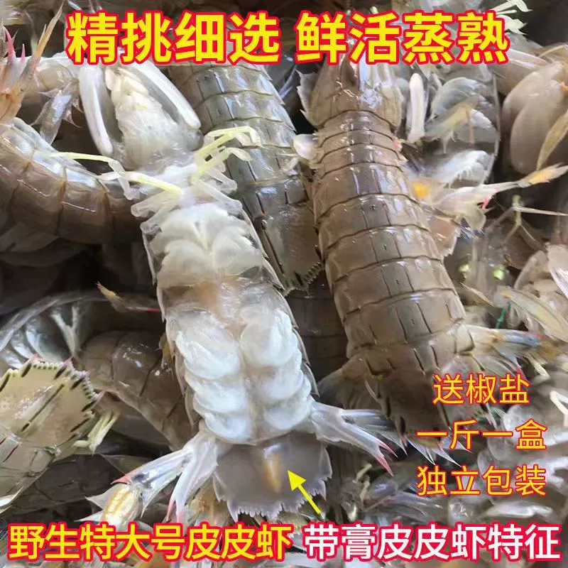老农欢 特大号皮皮虾 3斤（单只约12~16cm）　 59元包邮（需领券） 值值值-买手聚集的地方