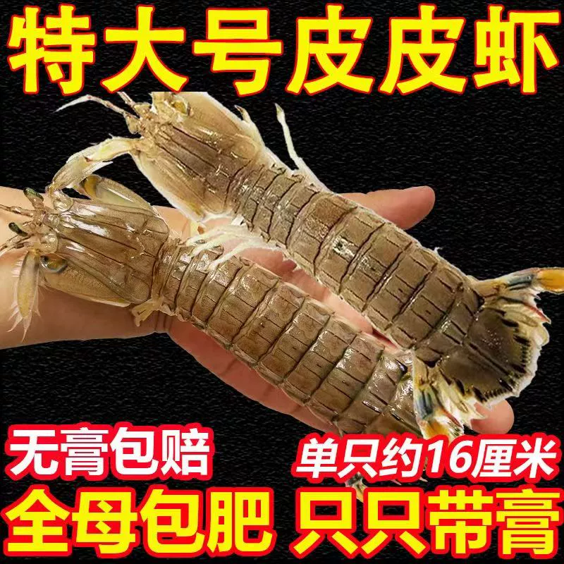 老农欢 特大号皮皮虾 3斤（单只约12~16cm）　 59元包邮（需领券） 值值值-买手聚集的地方
