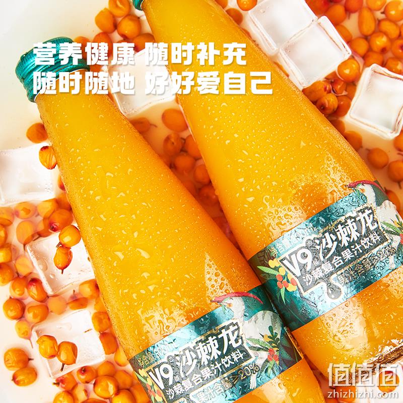 全球最大沙棘综合产业链龙头企业，宇航人 V9 沙棘复合果汁饮料 300ml*6瓶 29.9元包邮（需领券） 值值值-买手聚集的地方